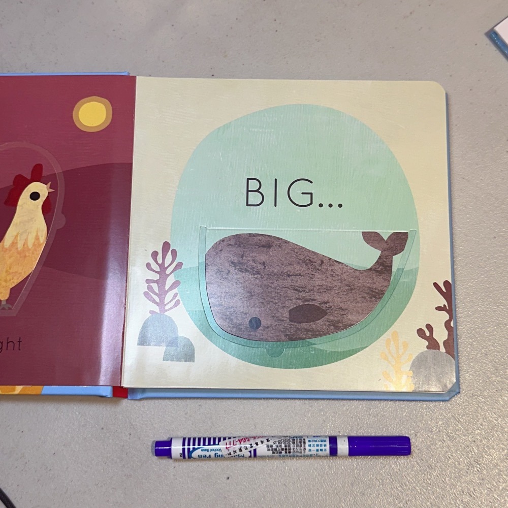英語啟蒙低幼硬頁書 翻翻書 📘Big and Little: A Book of Animal Opposites-細節圖2
