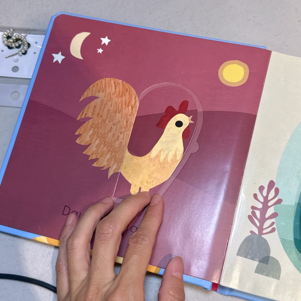英語啟蒙低幼硬頁書 翻翻書 📘Big and Little: A Book of Animal Opposites-細節圖4