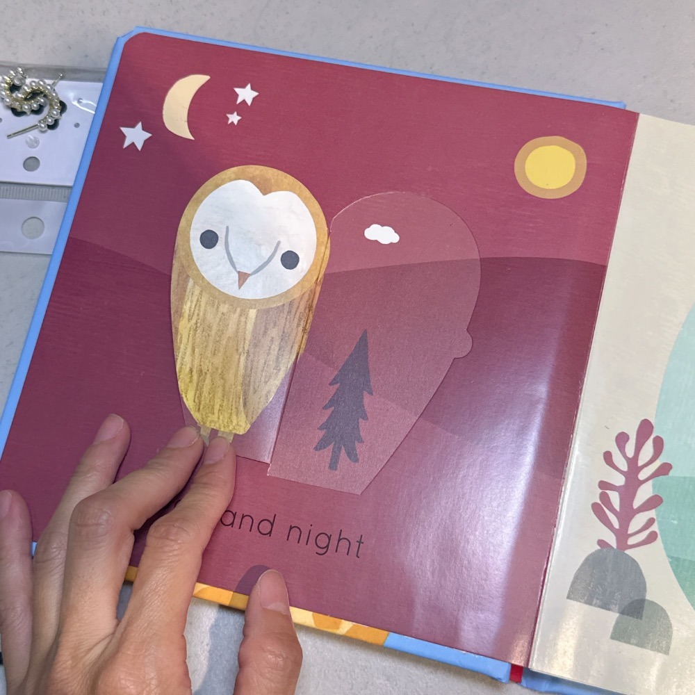 英語啟蒙低幼硬頁書 翻翻書 📘Big and Little: A Book of Animal Opposites-細節圖5