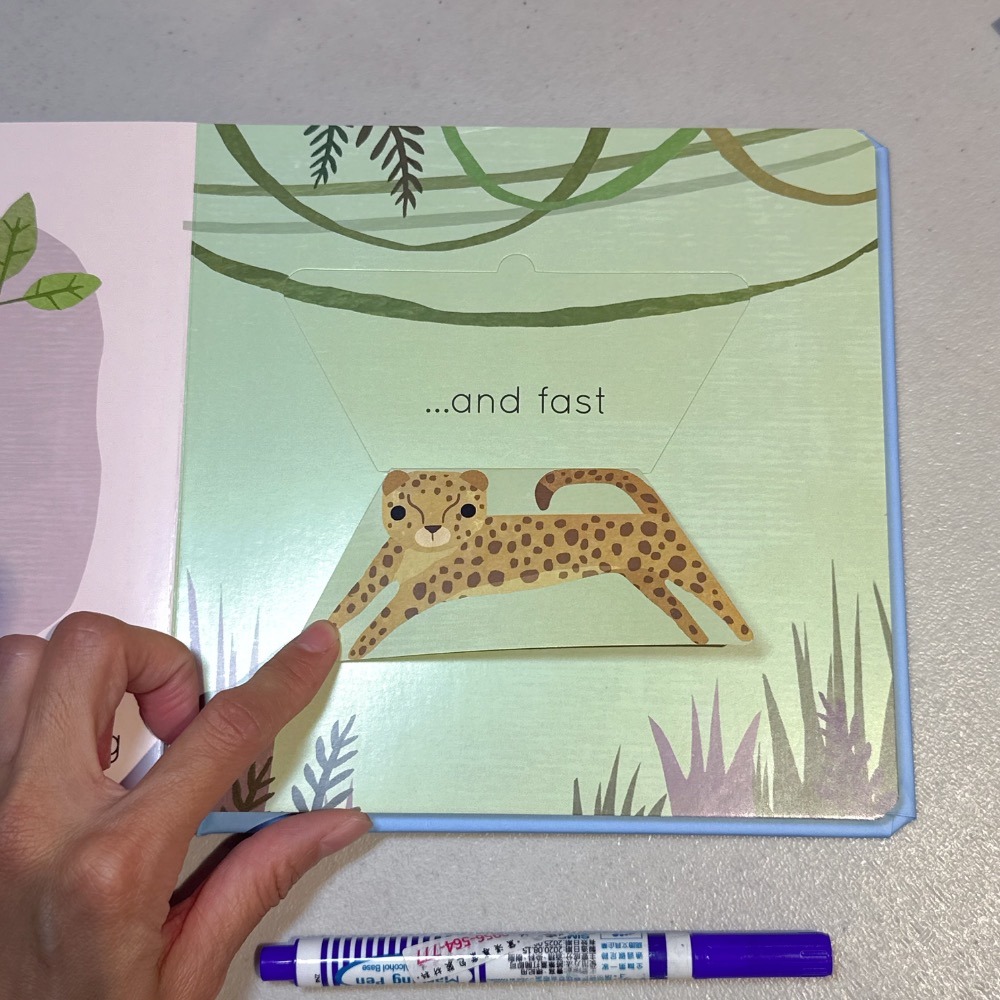 英語啟蒙低幼硬頁書 翻翻書 📘Big and Little: A Book of Animal Opposites-細節圖7