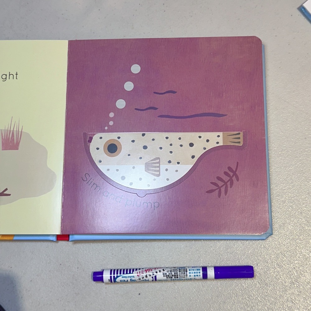 英語啟蒙低幼硬頁書 翻翻書 📘Big and Little: A Book of Animal Opposites-細節圖8