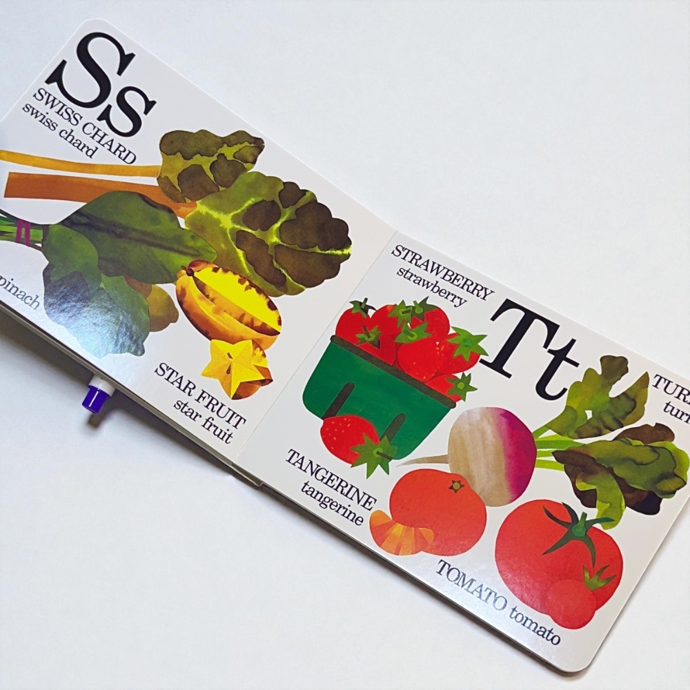 英文啟蒙 幼兒字母認知書 Eating the Alphabet 硬頁書 單字書-細節圖5