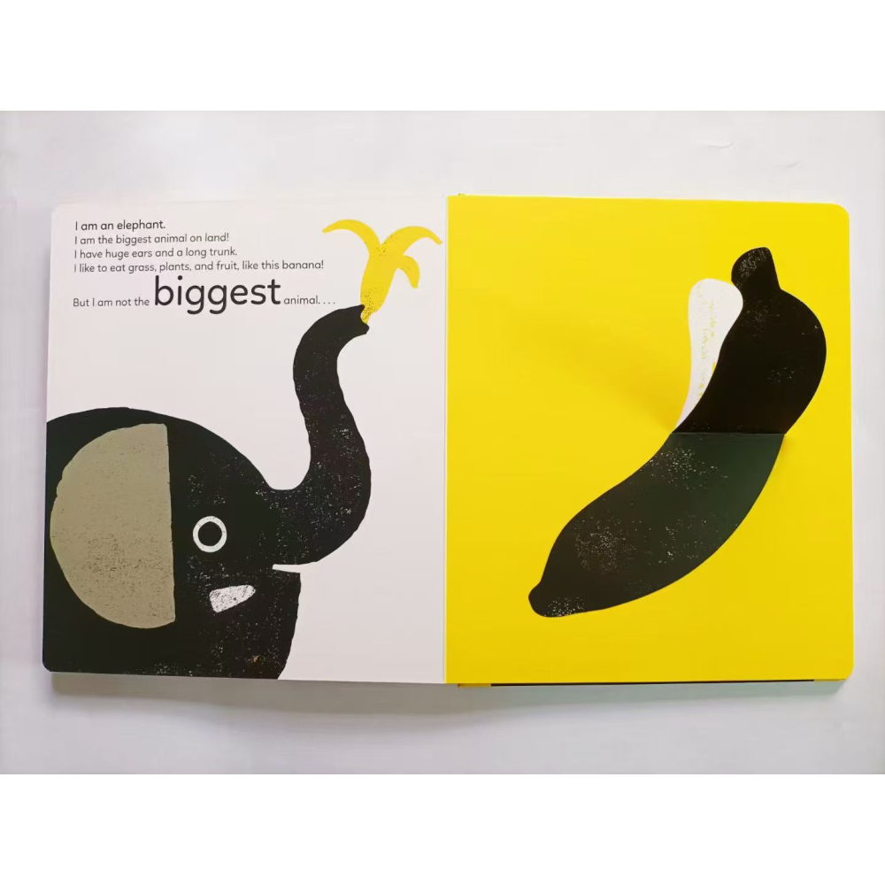 【英文】Big, Bigger, Biggest 動物主題啟蒙 精裝 翻翻書 比大小 低幼 Xavier Deneux-細節圖2