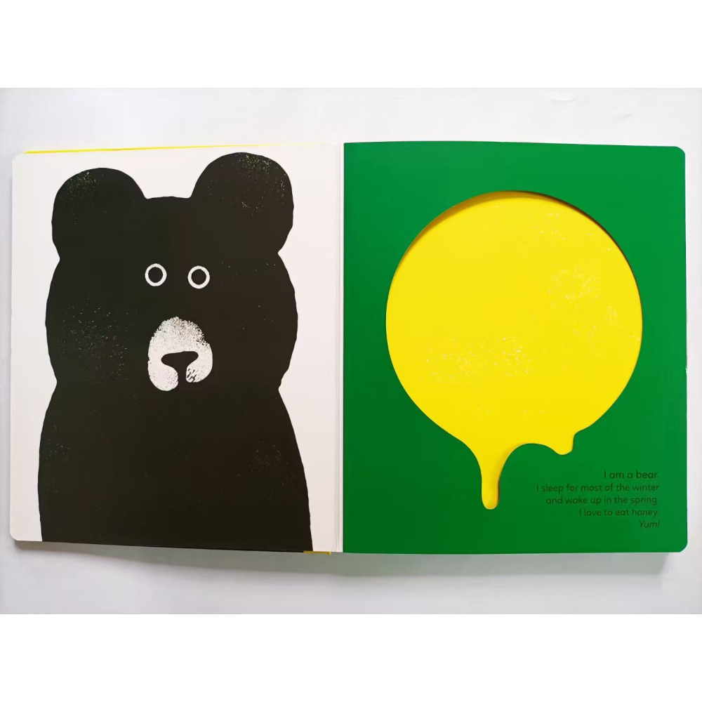 【英文】Big, Bigger, Biggest 動物主題啟蒙 精裝 翻翻書 比大小 低幼 Xavier Deneux-細節圖3