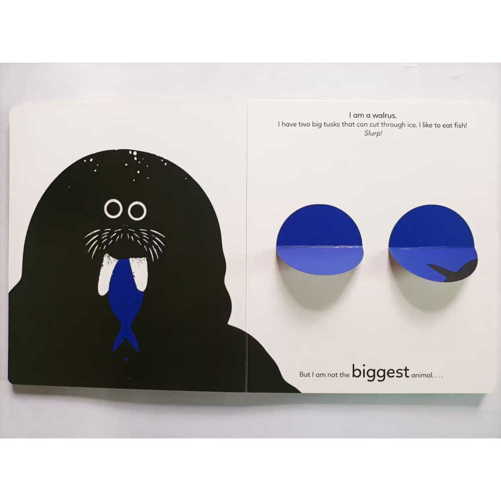 【英文】Big, Bigger, Biggest 動物主題啟蒙 精裝 翻翻書 比大小 低幼 Xavier Deneux-細節圖4