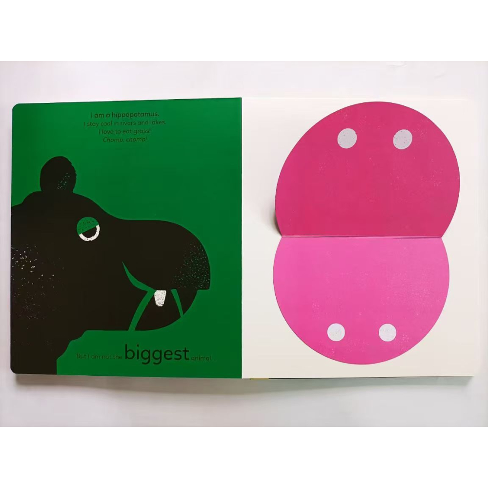 【英文】Big, Bigger, Biggest 動物主題啟蒙 精裝 翻翻書 比大小 低幼 Xavier Deneux-細節圖5