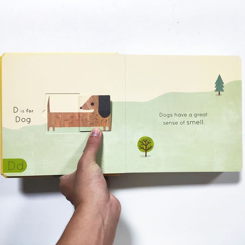 【英文】AN ALPHABET OF ANIMALS｜A-Z 動物字母硬頁書 翻翻書 低幼英語啟蒙-細節圖4