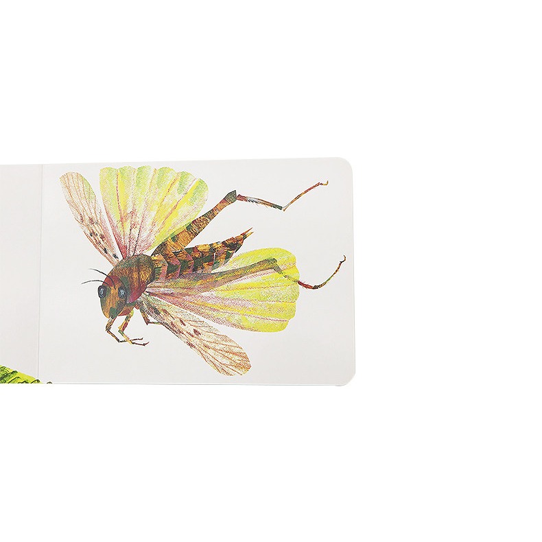 【英文】The Very Quiet Cricket 好安靜的蟋蟀｜Eric Carle ｜聲音互動｜情緒成長｜硬頁書-細節圖5
