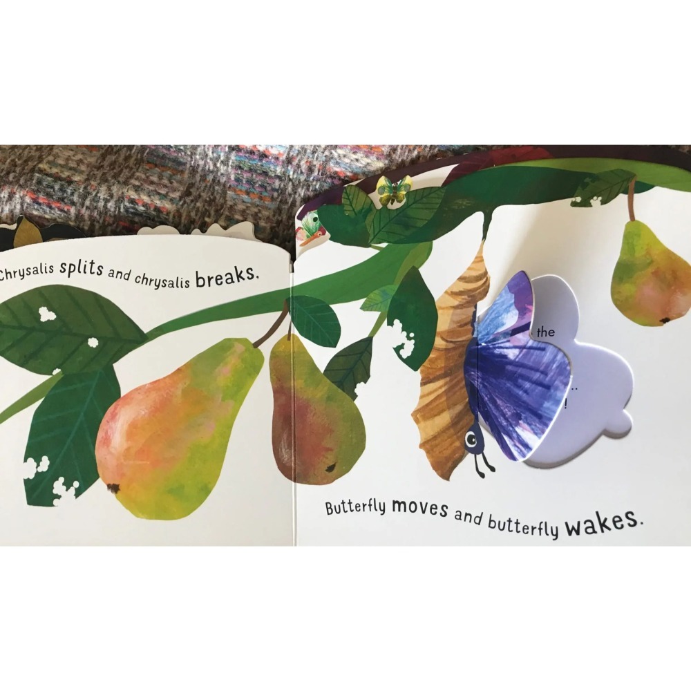 【英文】First Nature: Caterpillar 翻翻書｜自然科普 繪本 幼兒啟蒙 硬頁書-細節圖3