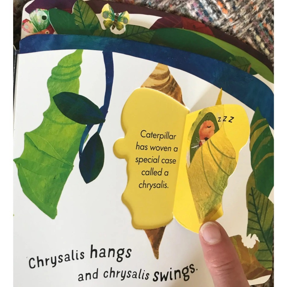 【英文】First Nature: Caterpillar 翻翻書｜自然科普 繪本 幼兒啟蒙 硬頁書-細節圖4