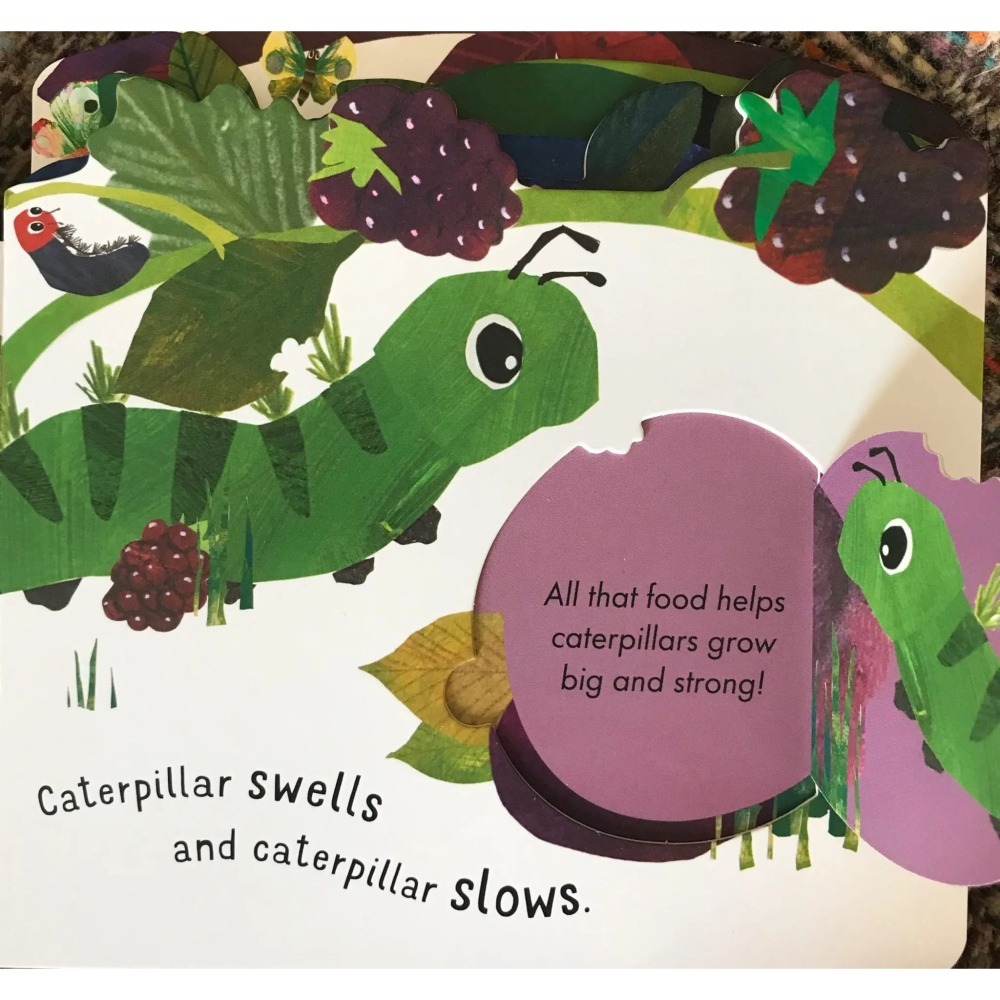 【英文】First Nature: Caterpillar 翻翻書｜自然科普 繪本 幼兒啟蒙 硬頁書-細節圖5