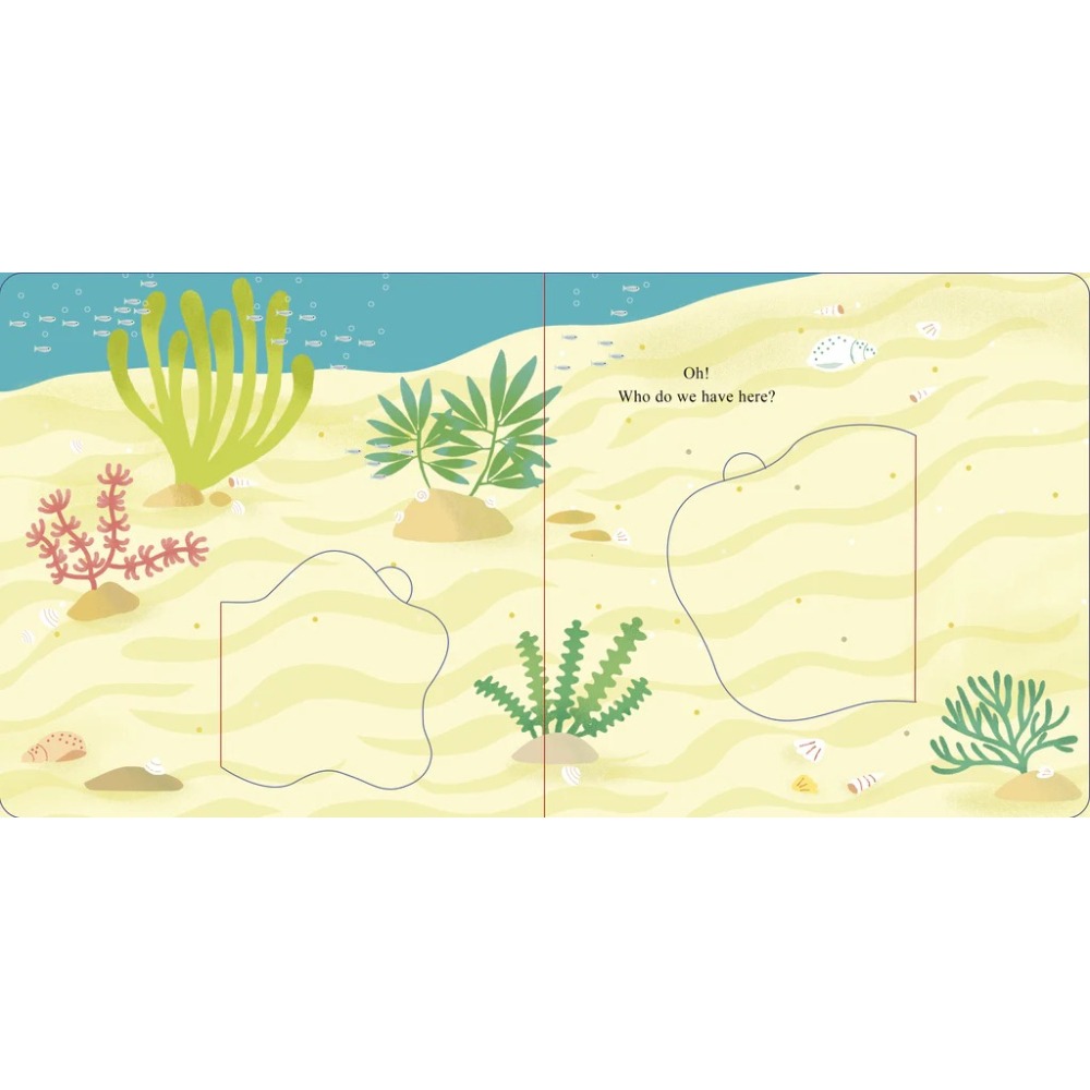 【英文】Who Is Hiding in the Sea? 海洋 翻翻書 配對遊戲 硬頁書-細節圖5
