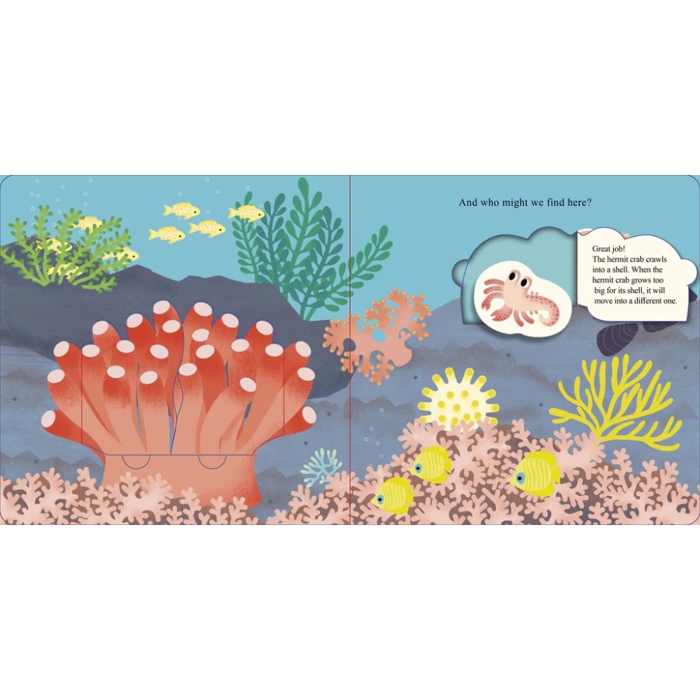 【英文】Who Is Hiding in the Sea? 海洋 翻翻書 配對遊戲 硬頁書-細節圖6