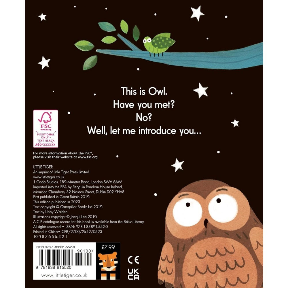 【英文】This is Owl 操作互動繪本｜翻翻拍手書｜精裝本｜親子共讀｜幼兒讀物-細節圖3