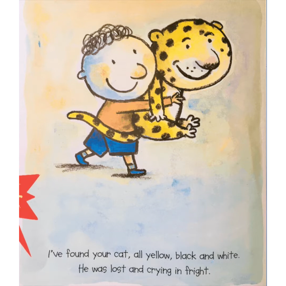 【英文】I’ve Lost My Cat 迷路小貓繪本｜情緒共感 情緒認知 情緒管理 英文讀本-細節圖4
