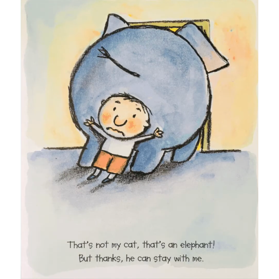 【英文】I’ve Lost My Cat 迷路小貓繪本｜情緒共感 情緒認知 情緒管理 英文讀本-細節圖8