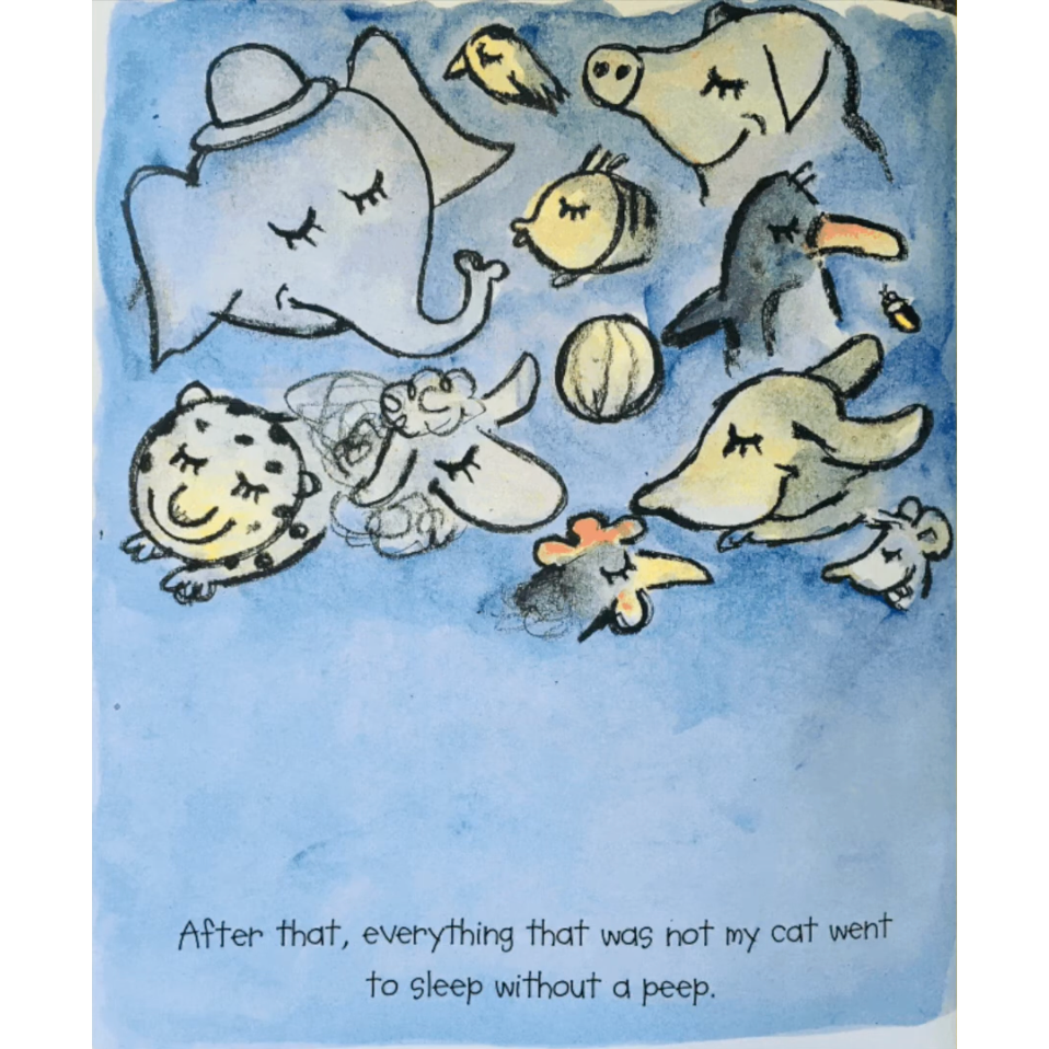 【英文】I’ve Lost My Cat 迷路小貓繪本｜情緒共感 情緒認知 情緒管理 英文讀本-細節圖9