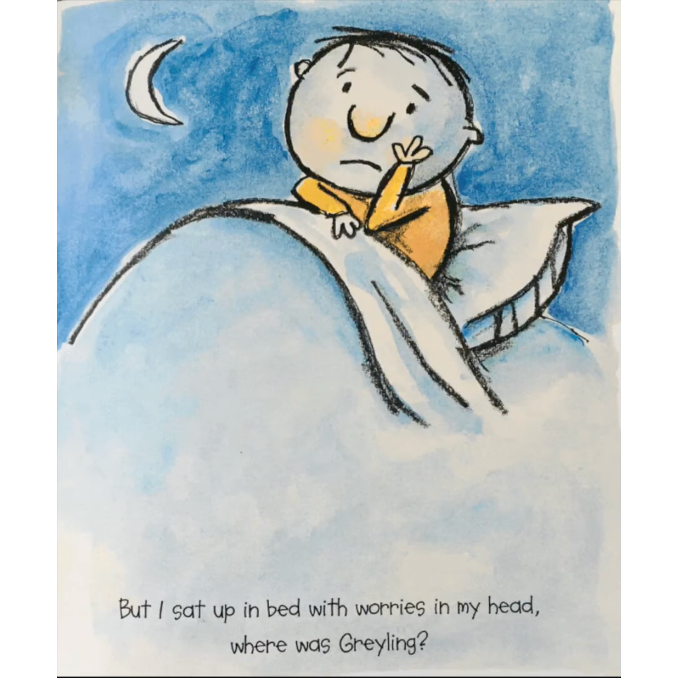 【英文】I’ve Lost My Cat 迷路小貓繪本｜情緒共感 情緒認知 情緒管理 英文讀本-細節圖10