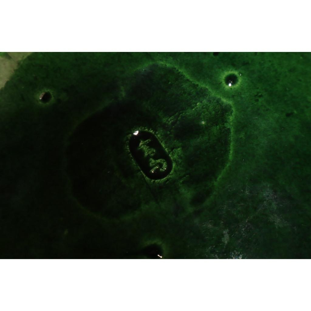 《部町》日本 獨樂燒 吉向款 金箔龜甲 菓子盤 五客 附木箱｜抹茶 茶道具 茶道 花道 花藝 神社 京都 古董 茶碗-細節圖7