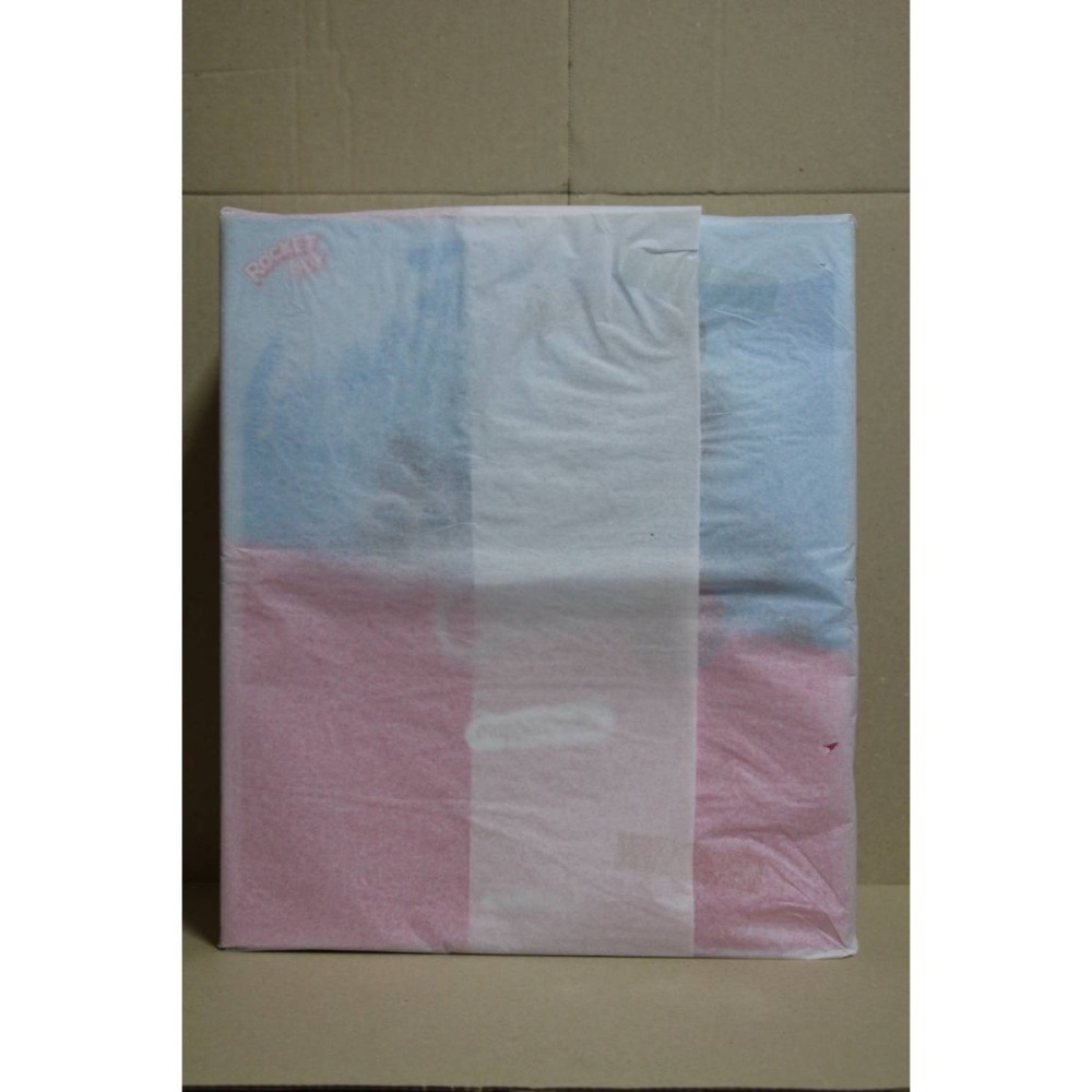 日版 Native Rocket Boy 雙馬尾女孩兔女郎マッパニナッタ原畫1/6 附native線上預特典明信片-細節圖3