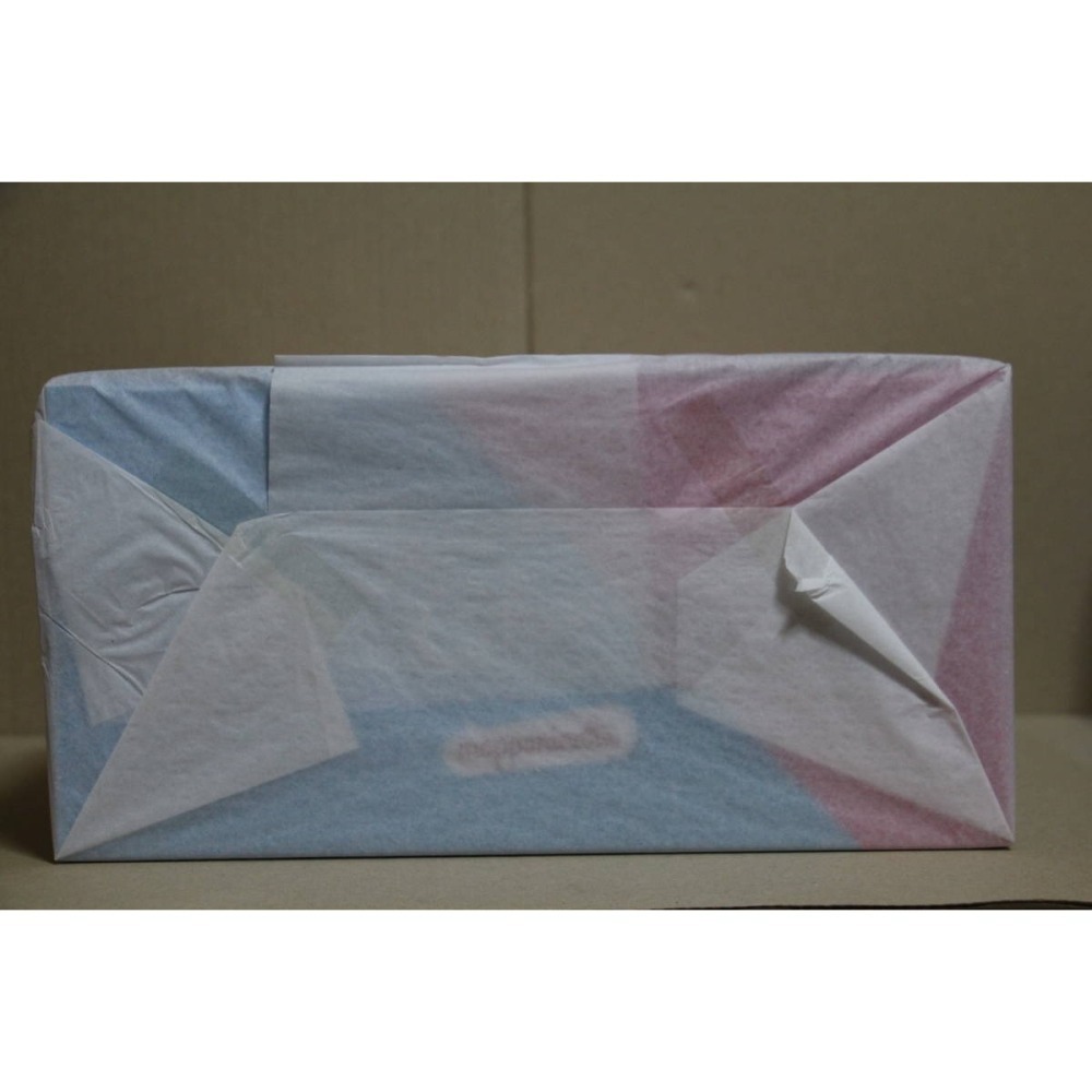 日版 Native Rocket Boy 雙馬尾女孩兔女郎マッパニナッタ原畫1/6 附native線上預特典明信片-細節圖6