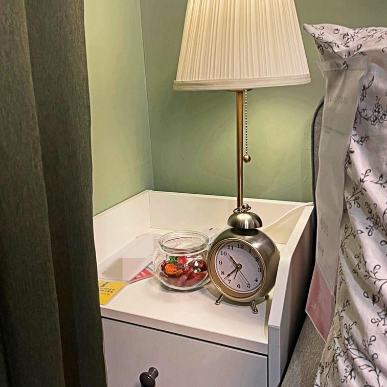 【竹代購】IKEA宜家家居 香氛裝飾 花瓶 生活質感 簡約裝飾 乾燥花 天然乾燥花 乾燥花材 芳香劑 香氛花 婚禮裝飾-細節圖3