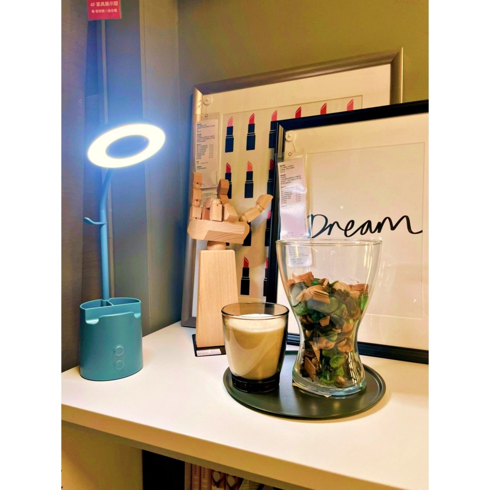 【竹代購】IKEA宜家家居 香氛裝飾 花瓶 生活質感 簡約裝飾 乾燥花 天然乾燥花 乾燥花材 芳香劑 香氛花 婚禮裝飾-細節圖9