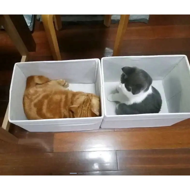 【竹代購】IKEA宜家家居 DRONA 收納盒 收納籃 居家收納盒 居家儲物 儲物盒 置物箱 玩具收納 雜物收納 收納-細節圖7