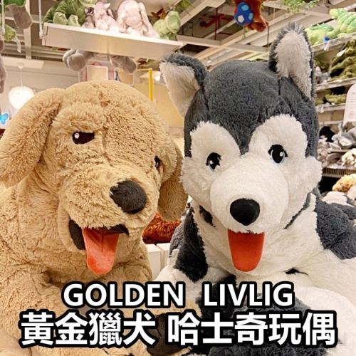 IKEA 代購 黃金獵犬 哈士奇 娃娃 玩偶 狗狗娃娃 布偶 絨毛娃娃 狗娃娃 大型娃娃 ikea 娃娃 填充玩具 狗