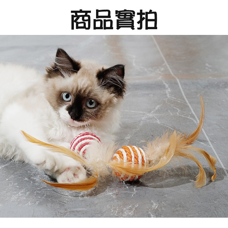 【SHOWHAN】寵物劍麻羽毛球 貓咪玩具  顏色隨機出貨 (4.3cm) 磨爪 寵物玩具-細節圖9