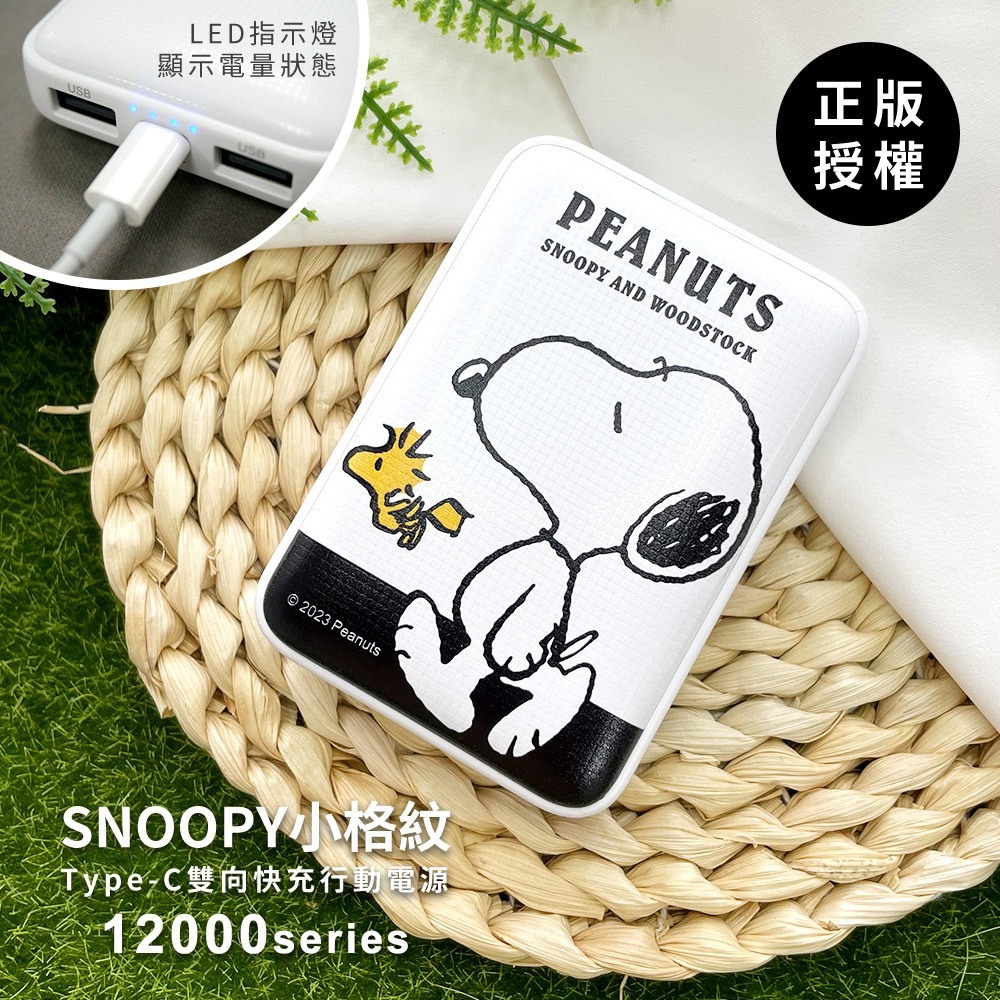 SNOOPY史努比 12000series 小格紋Type-C雙向快充行動電源-細節圖8