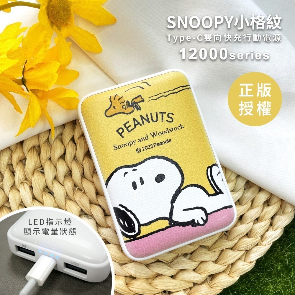 【限時購】SNOOPY史努比 12000series 小格紋Type-C雙向快充行動電源-細節圖10