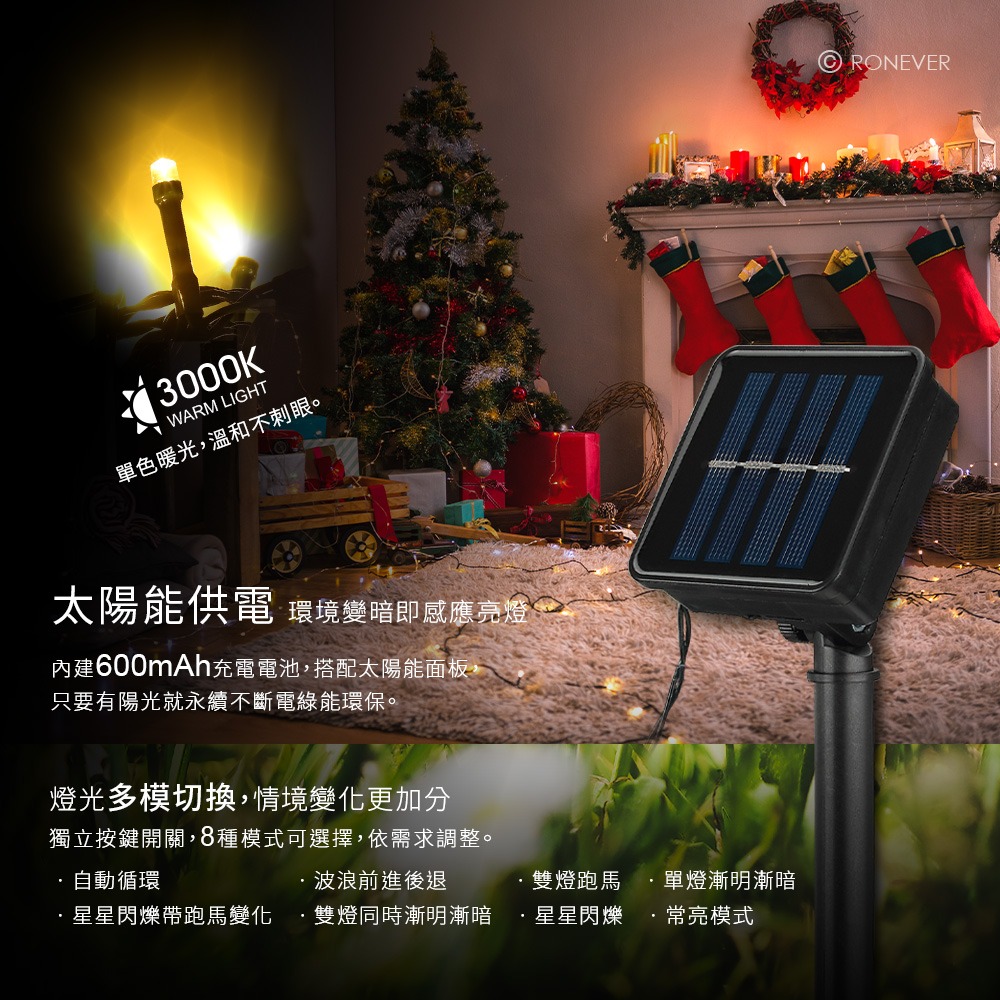 RONEVER PA009 / LED戶外造型燈串-裸燈-9.5M-細節圖3