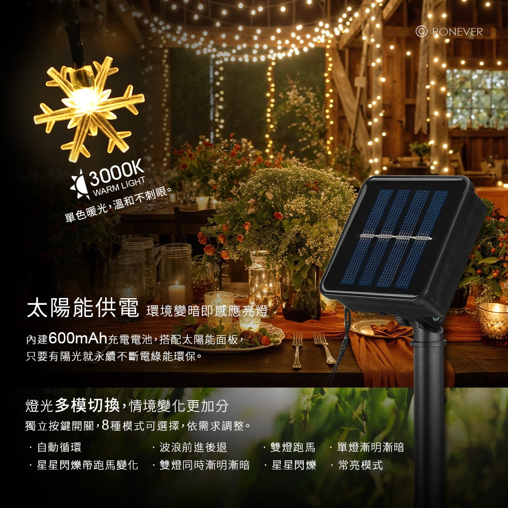 RONEVER PA010 / LED戶外造型燈串-小雪花-9.5M-細節圖3