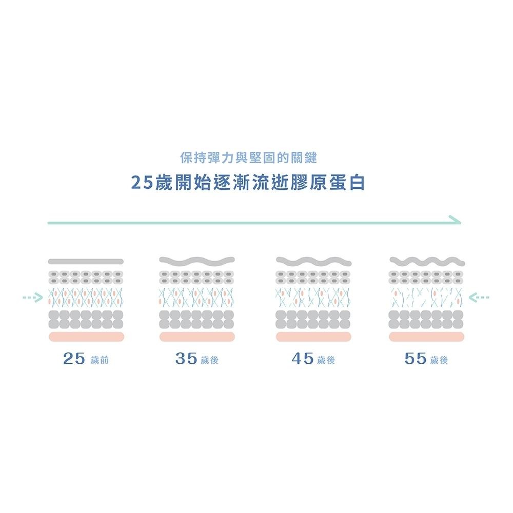 ★露奇亞Ruijia★ 蜂王胜肽膠原蛋白粉 65包/袋 高濃度純淨蜂王乳 胜肽級小分子好吸收 孕哺乳可食︱繁華中西藥局︱-細節圖4