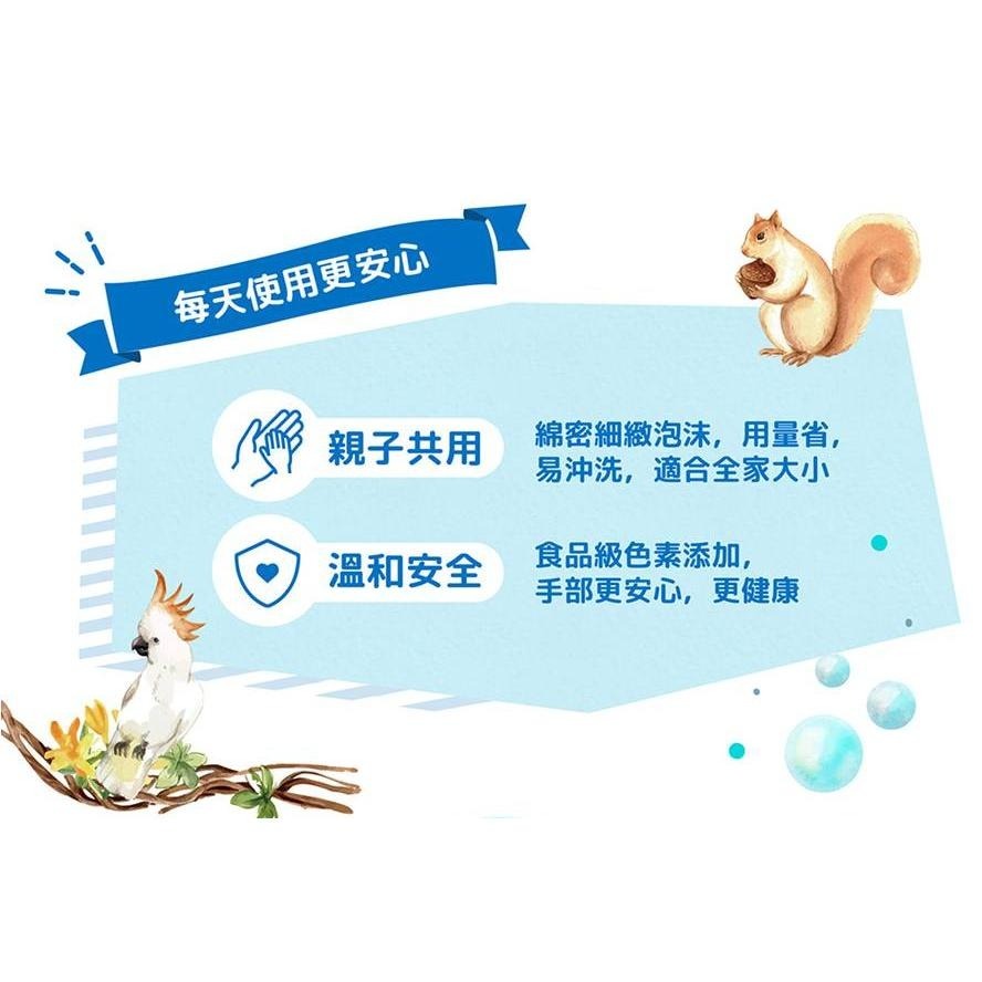 ★綠的 GREEN★ 植物 抗菌 潔手慕斯 洗手乳 洗手慕斯 台灣製造 現貨供應 ︱繁華中西藥局︱-細節圖3