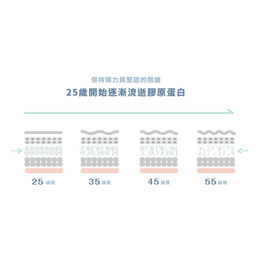 ★露奇亞Ruijia★優質純淨膠原蛋白粉 65包/袋 補充袋 純魚類膠原蛋白 小分子膠原蛋白 基礎修護︱繁華中西藥局︱-細節圖5