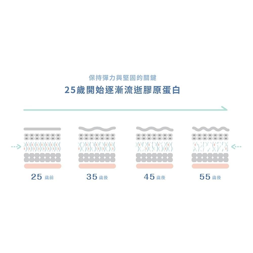 ★露奇亞Ruijia★ 鋅酵母膠原蛋白粉(30條/盒) 賽洛美 天然鋅酵母 酪蛋白水解物 保水潤彈 促進鈣吸收 孕哺乳可-細節圖4