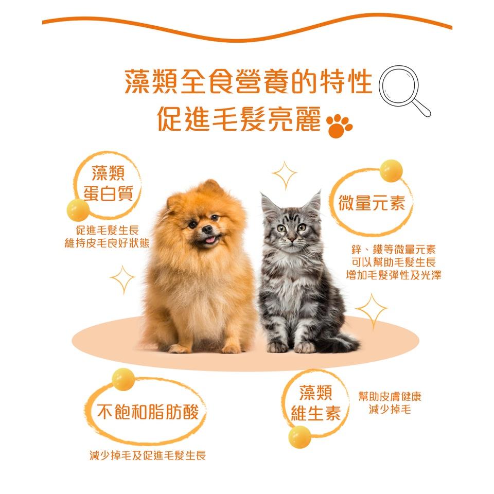 遠東生技 佩特貝比 藻晶亮 30包/盒 寵物系列 貓 狗 視力保健 皮膚保健 毛髮保健 毛皮健康-細節圖3