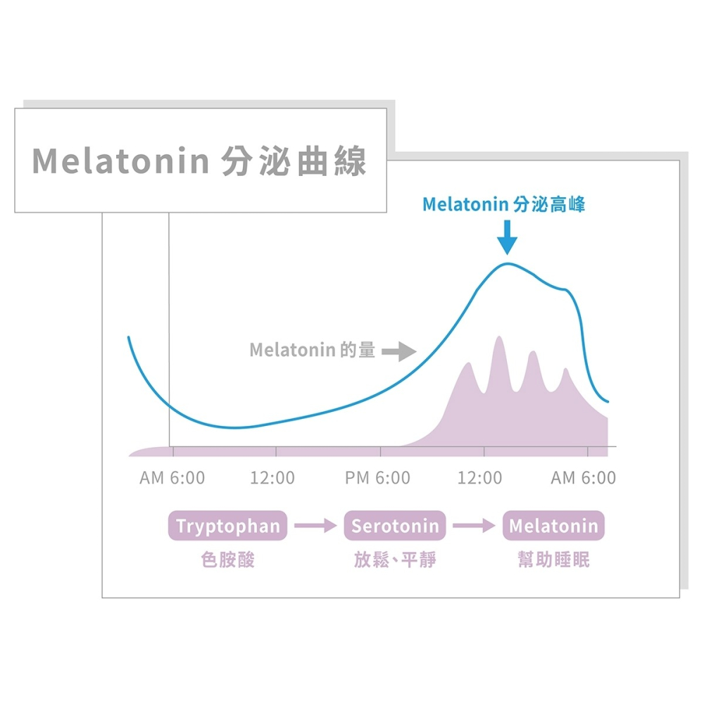 ★露奇亞Ruijia★ 晚安益生菌(20包/盒) GABA 芝麻萃取物 專利鈣鎂D三效因子 ︱繁華中西藥局︱-細節圖6