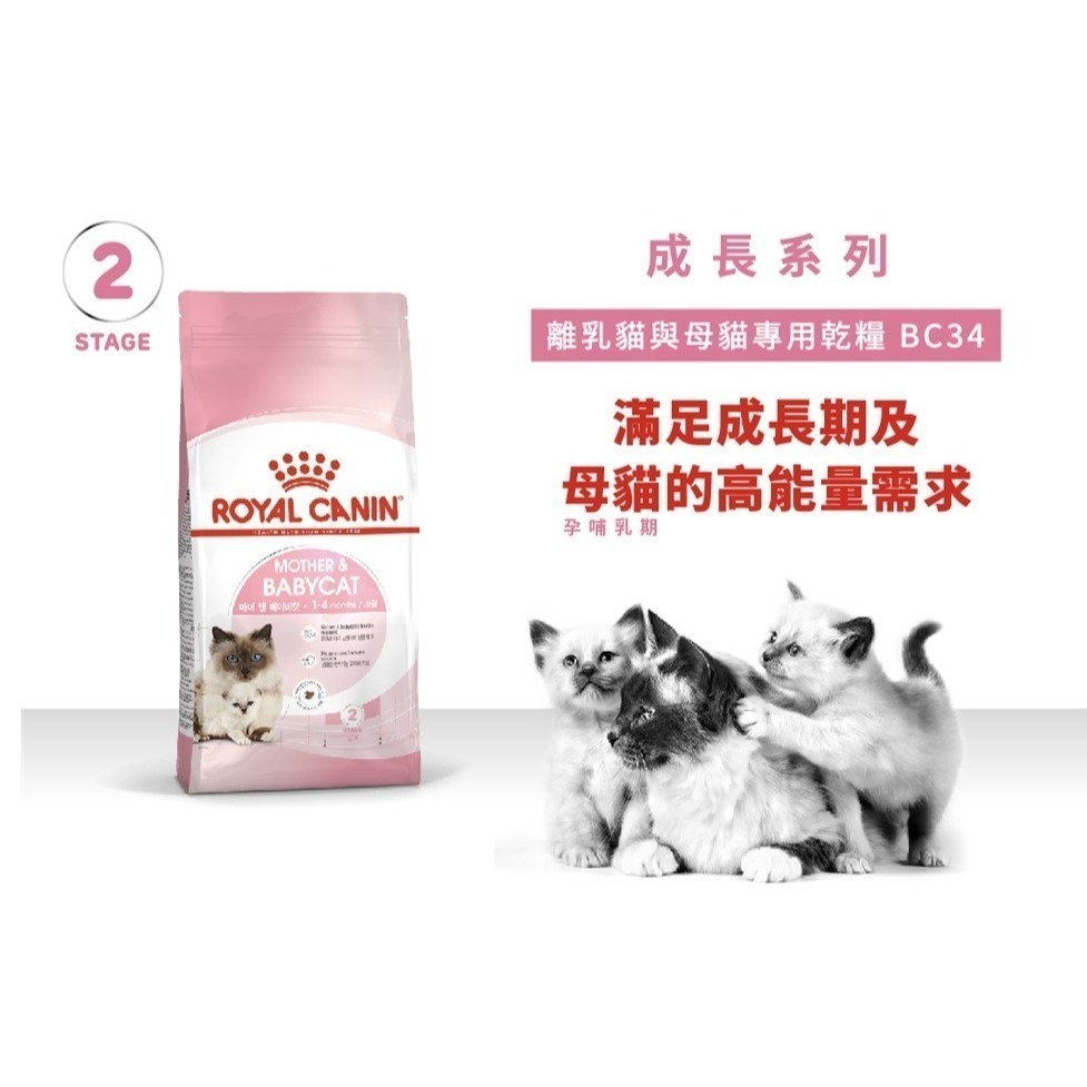 法國皇家Royal Canin BC34 FHN 離乳貓與母貓專用乾糧 1公斤真空包-細節圖2