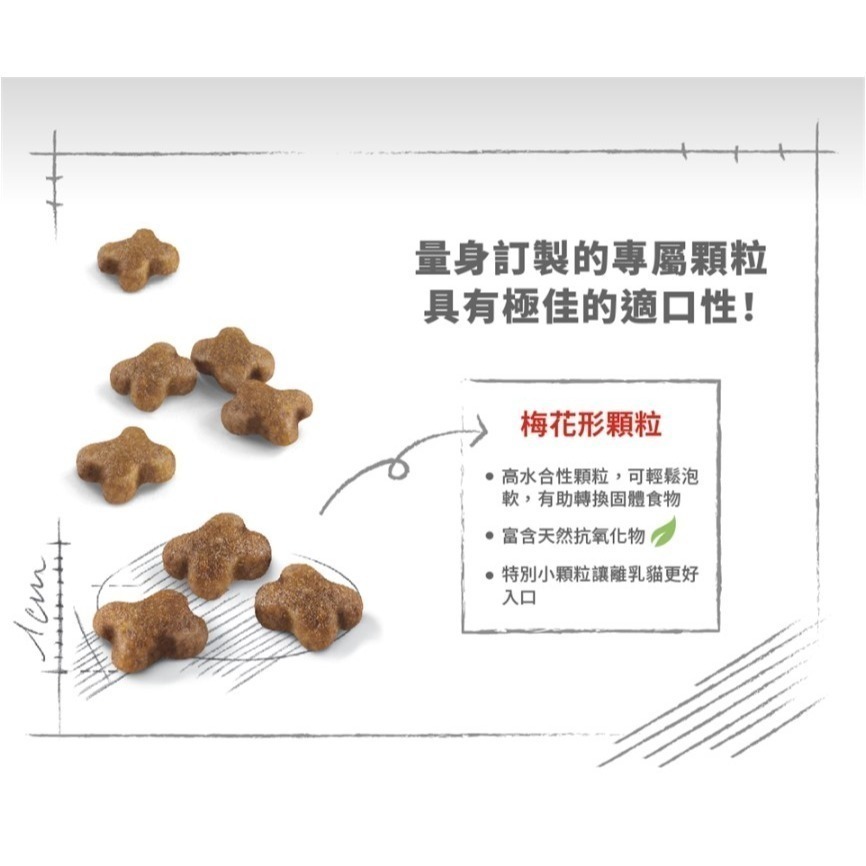 法國皇家Royal Canin BC34 FHN 離乳貓與母貓專用乾糧 1公斤真空包-細節圖3
