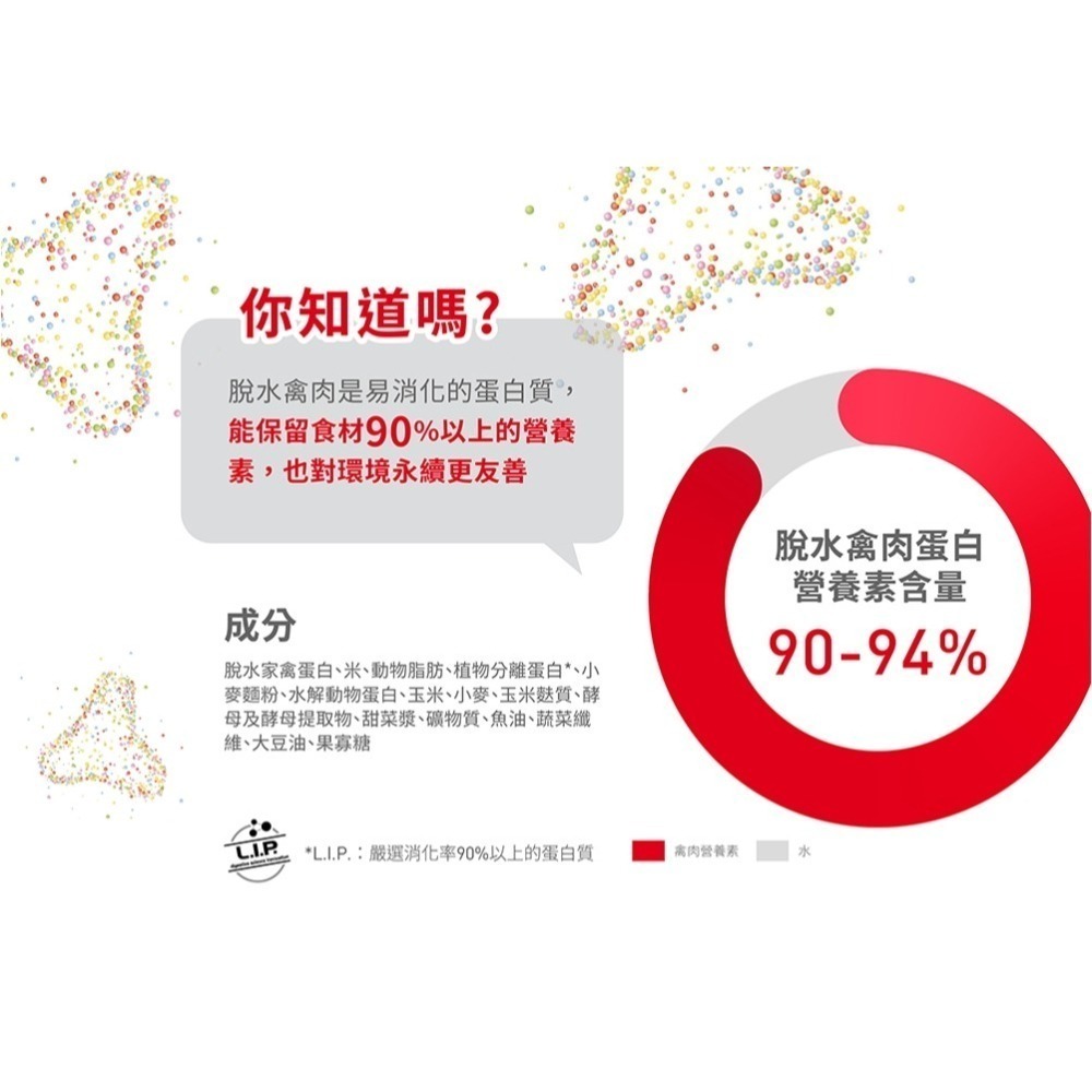 法國皇家Royal Canin BC34 FHN 離乳貓與母貓專用乾糧 1公斤真空包-細節圖4