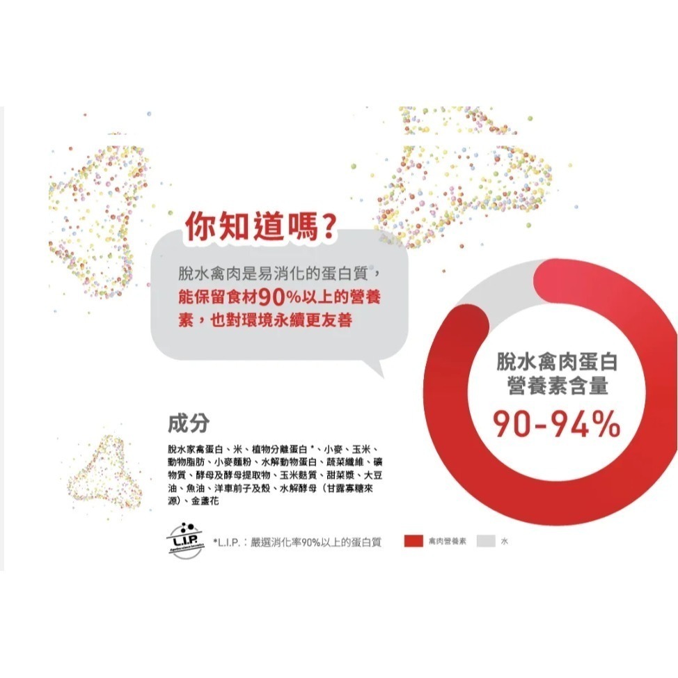 法國皇家FHN 理想體態成貓F32 1公斤真空包裝 ✨超商取件上限4包✨-細節圖6