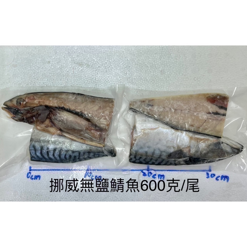 挪威無鹽鯖魚每尾210元☆鴻德水產☆滿額免運-細節圖2