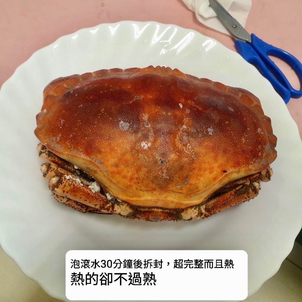 熟凍麵包蟹只要400元☆鴻德水產☆ 滿額免運-細節圖3