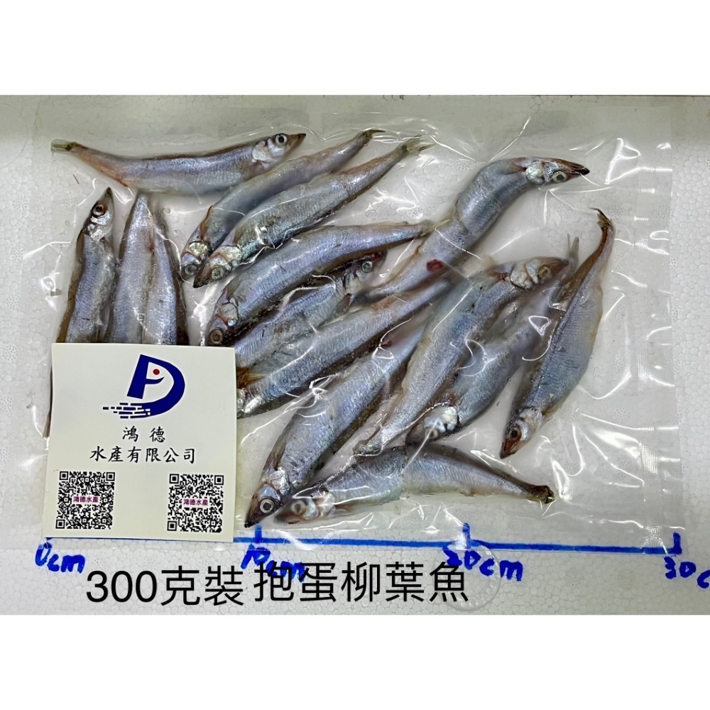 帶卵柳葉魚每包只要105元☆鴻德水產☆滿額免運-細節圖2