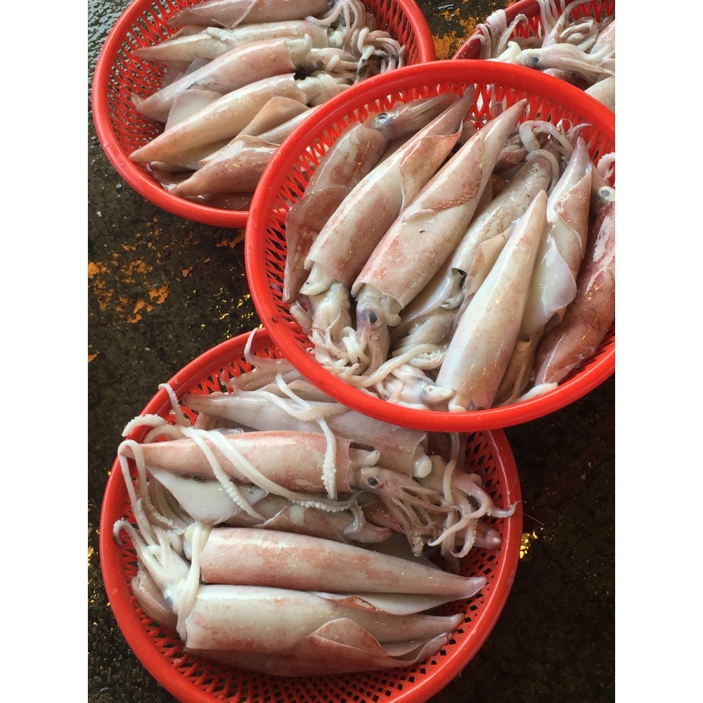 特大卷每公斤只要450元-鴻德水產-滿額免運-細節圖2