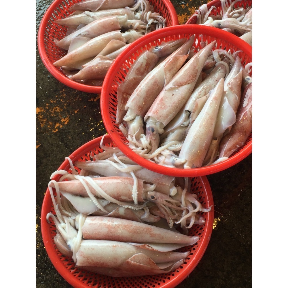 特大卷每公斤只要550元-鴻德水產-滿額免運-細節圖2