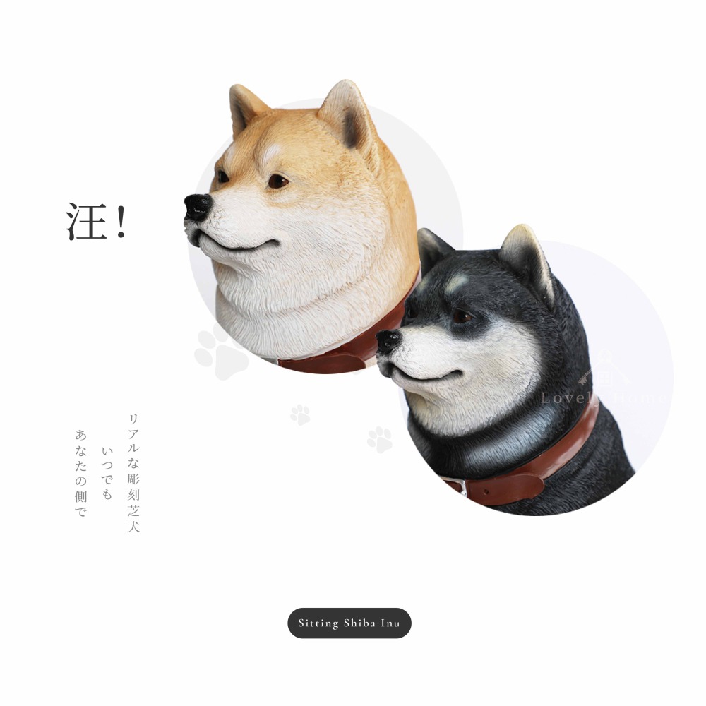 坐姿 黑柴棕柴 柴犬 狗 動物 波麗 戶外 擺飾 擬真（台中 可愛小舖）-細節圖2